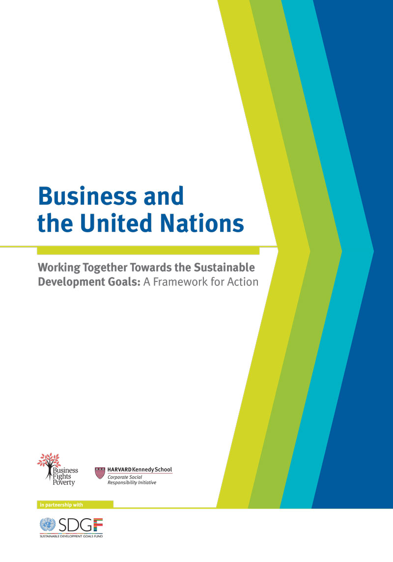 development business united nations